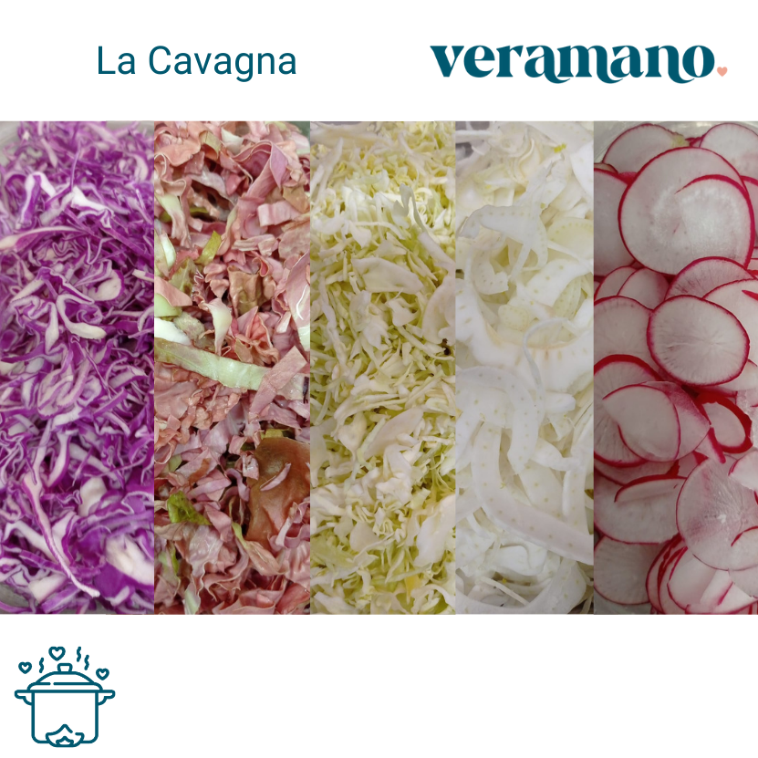 Verdure tagliate julienne (carote, finocchi, verza, ravanelli...)